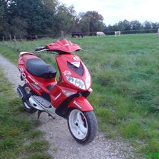 Peugeot SF 2 AC 206 WRC [SOLGT]