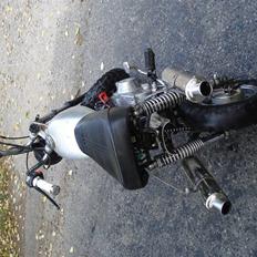 Skyteam Monkey SOLGT