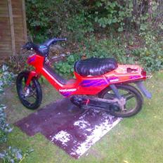 Honda Wallaroo solgt