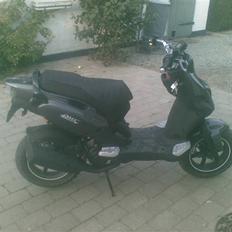 PGO pmx naked carbon