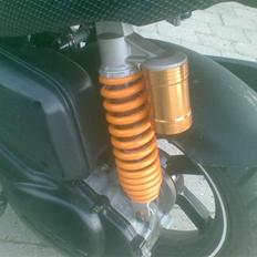 PGO pmx naked carbon
