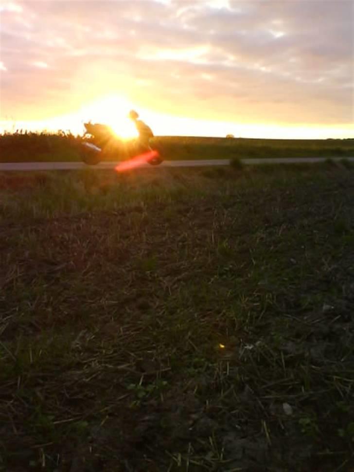 CPI hardstyle popcorn billede 12