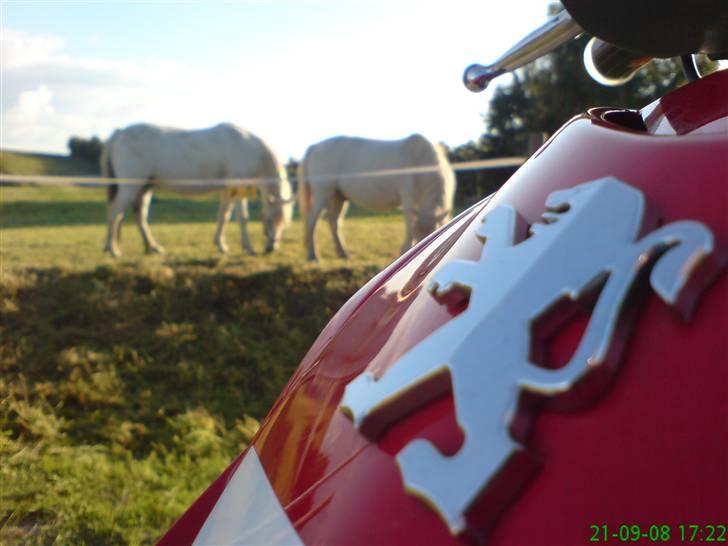 Peugeot SF 2 AC 206 WRC [SOLGT] billede 3