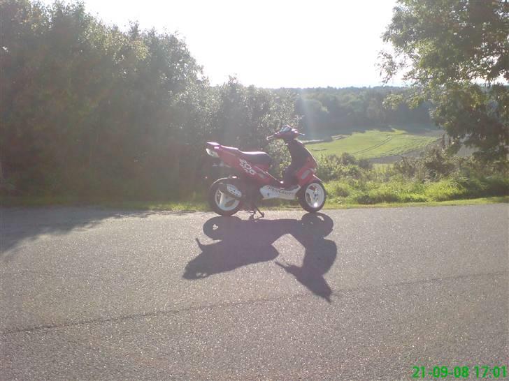 Peugeot SF 2 AC 206 WRC [SOLGT] billede 4