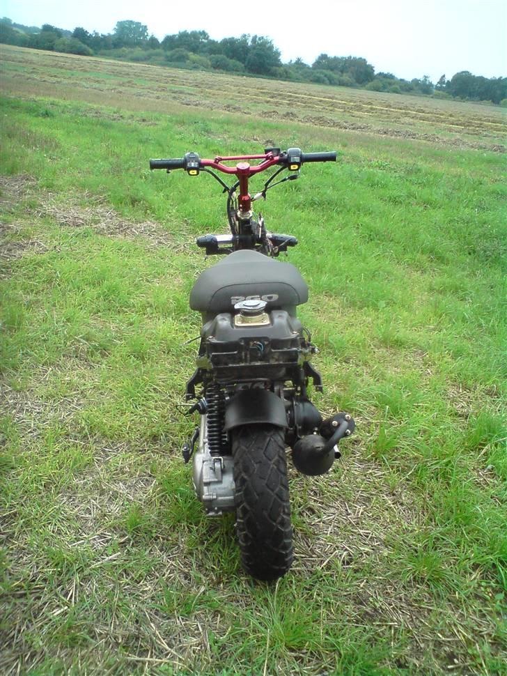 PGO Hot 50 solgt billede 2