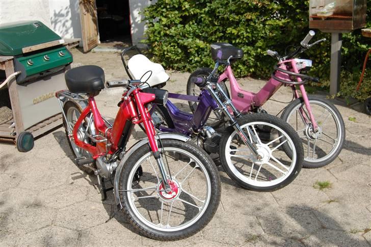 Puch maxi billede 2