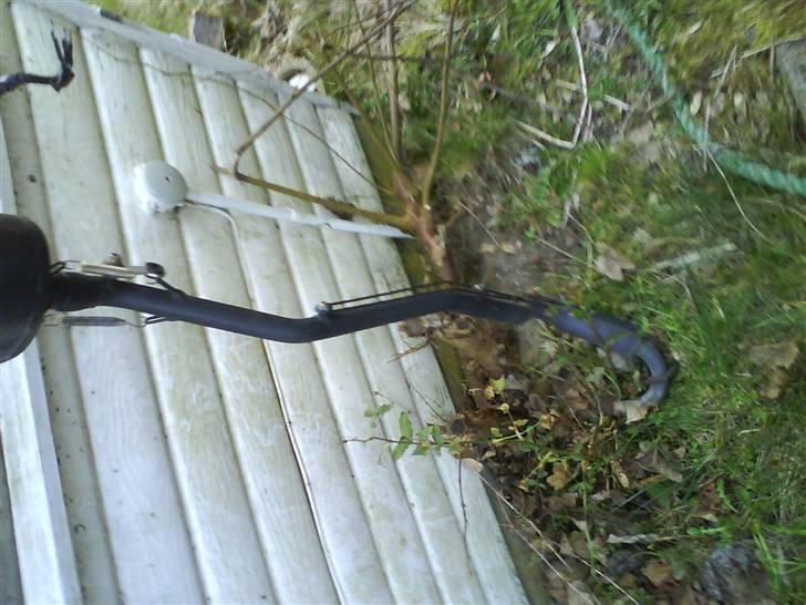 Sachs madrss billede 3