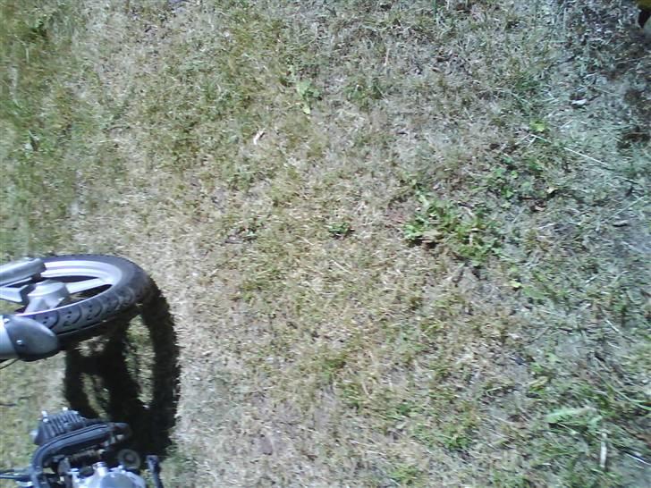 Sachs madrss billede 5