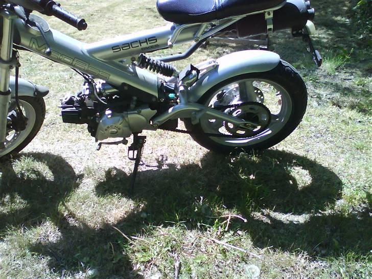 Sachs madrss billede 7