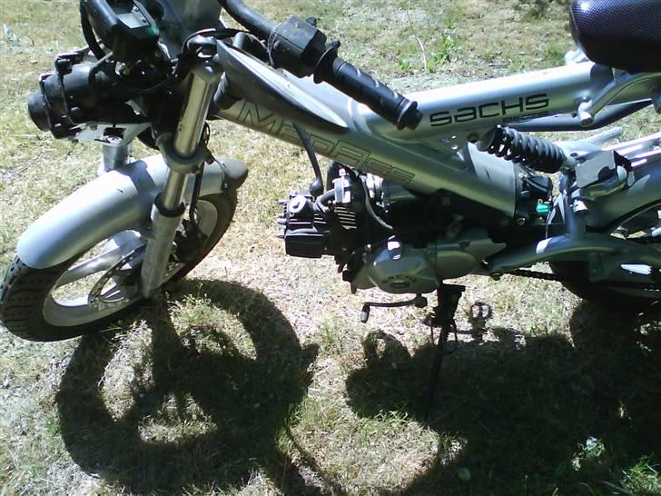 Sachs madrss billede 9