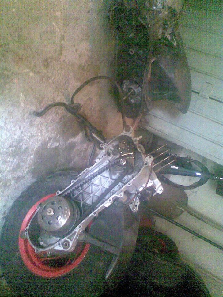 Piaggio Typhoon byttet til rally  - den fine blok:P + den gamle  billede 8