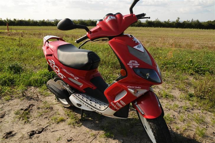 Peugeot Speedfight 2 WRC 206 billede 13