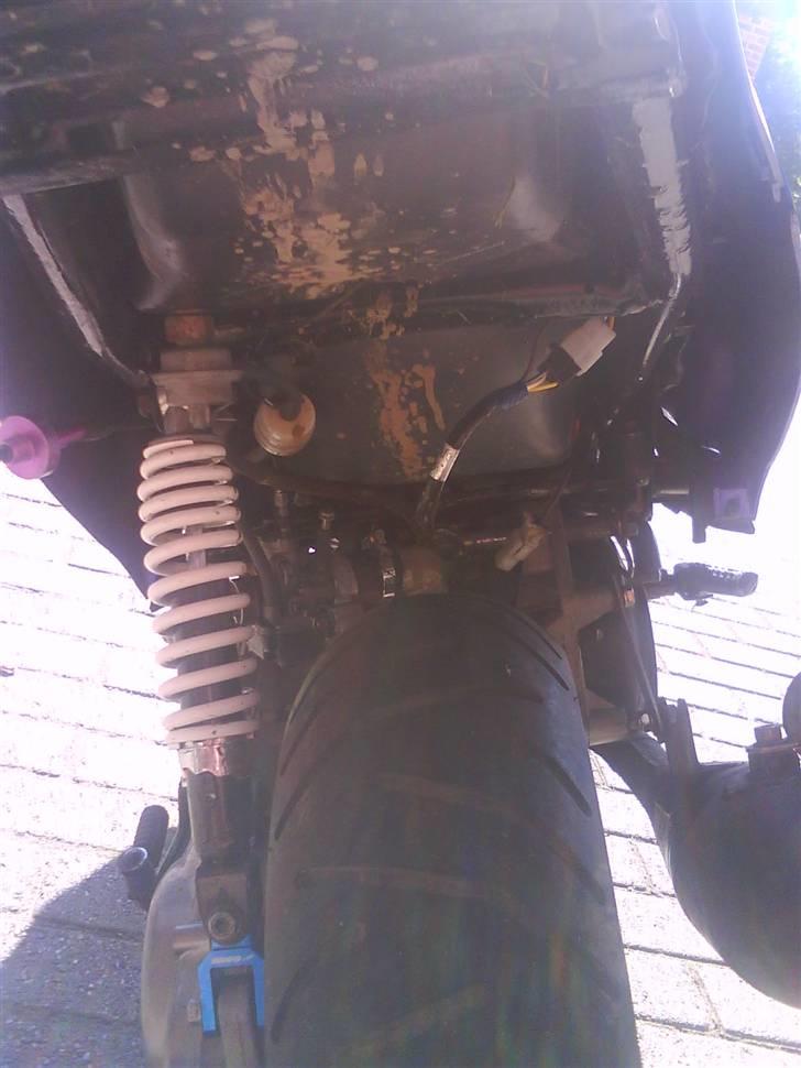 PGO Hot50(Byttet) billede 2