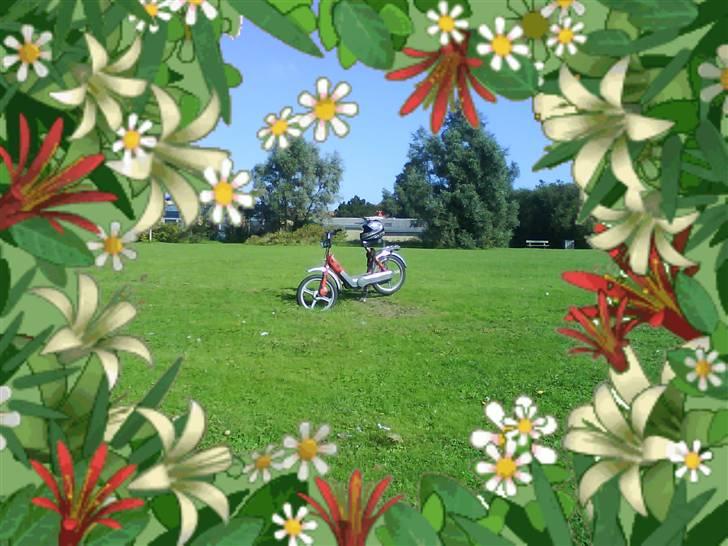 Vespa piaggio ciao BYTTES(FZ50) billede 8