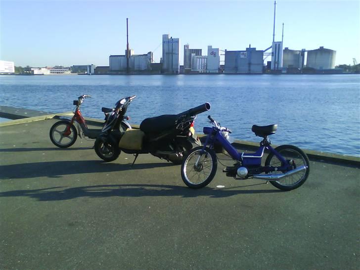 Vespa piaggio ciao BYTTES(FZ50) billede 9