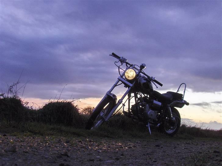 Kinroad Chopper - solgt - http://www.scootergalleri.dk/html/gal_visbil.asp?ID=205623&ipc=629214 <- hvis du ikke har bruger, så brug dette link .. så kan du se alle billederne billede 1