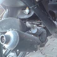 PGO black magic - - solgt