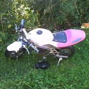 MiniBike pocketbike/motorcykel