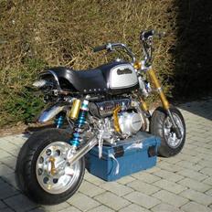 Skyteam gorilla Solgt !