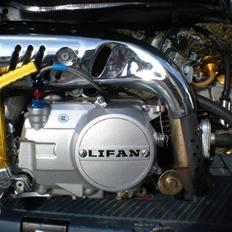 Skyteam gorilla Solgt !