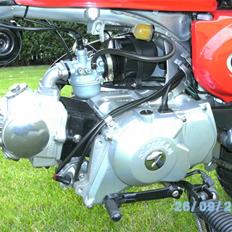 Skyteam Monkey SOLGT