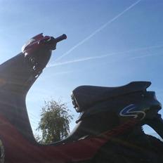 Peugeot Zenith (Byttet)