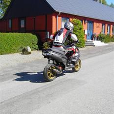 Gilera Runner TS LC DD