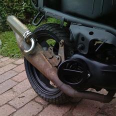 Adly Silverfox splittet! 