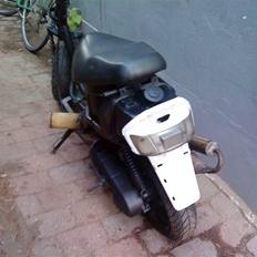 Adly Silverfox splittet! 