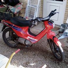 Honda wallaroo solgt