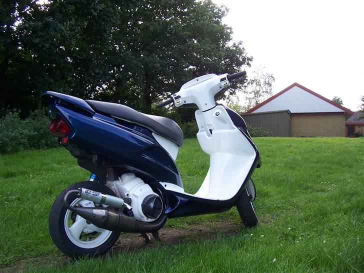Honda SFX SOLGT billede 6