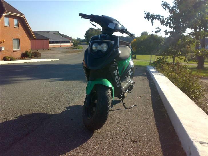 PGO Hot 50 - Solgt billede 4