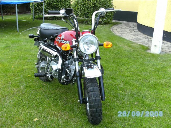 Skyteam Monkey SOLGT billede 4