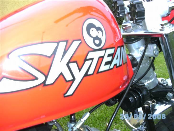 Skyteam Monkey SOLGT billede 6