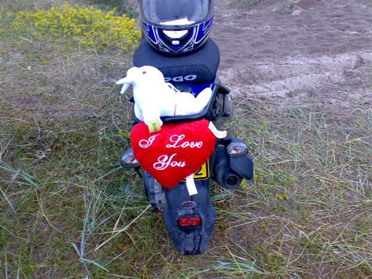 PGO hot 50  billede 10