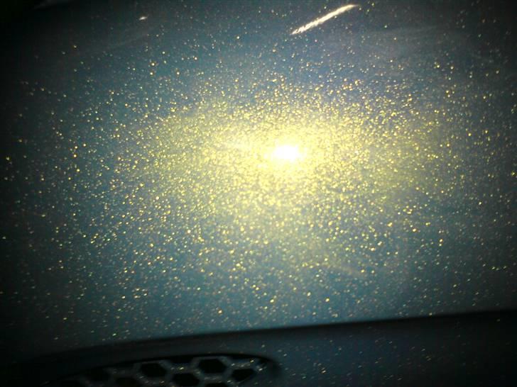 Gilera stalker byttet billede 5