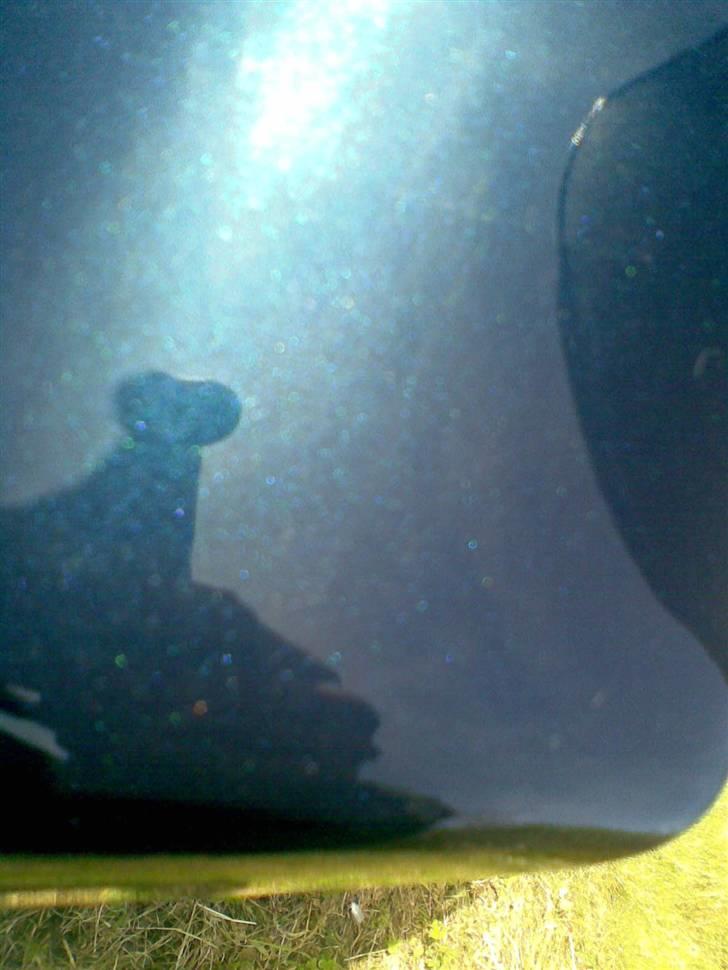 PGO hot 50 "efter" solgt 5500 - lakkens effekt :D billede 2