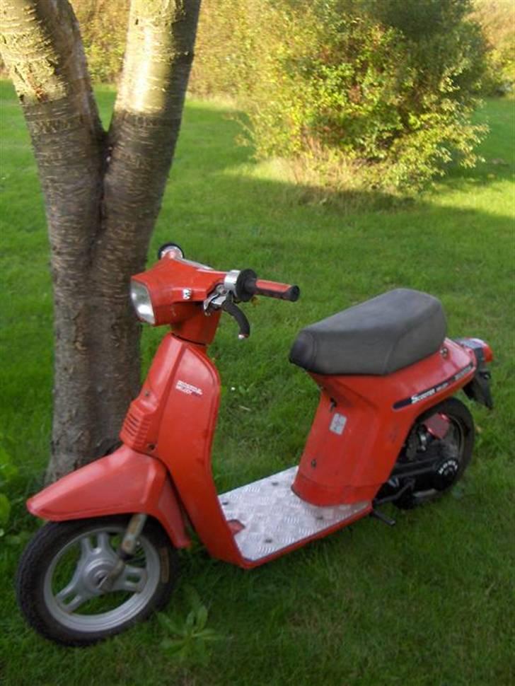 Honda melody- SOLGT billede 1