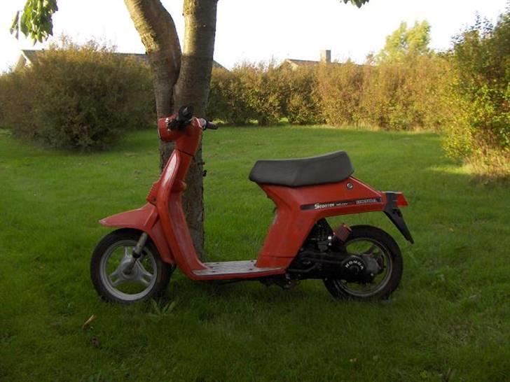 Honda melody- SOLGT billede 2