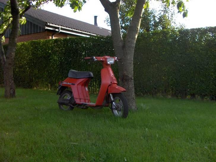 Honda melody- SOLGT billede 3