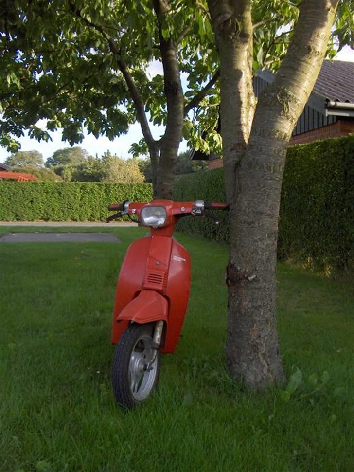 Honda melody- SOLGT billede 4