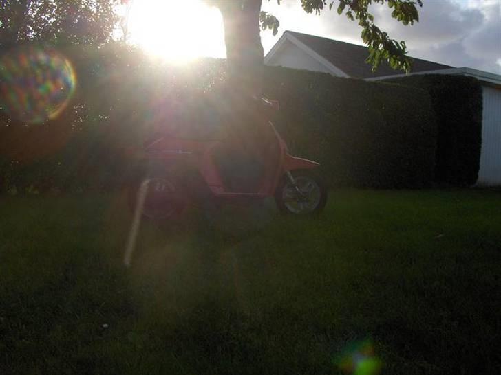 Honda melody- SOLGT billede 5