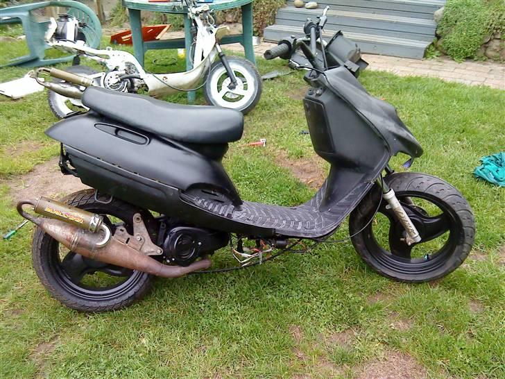 Adly Silverfox splittet!  billede 1