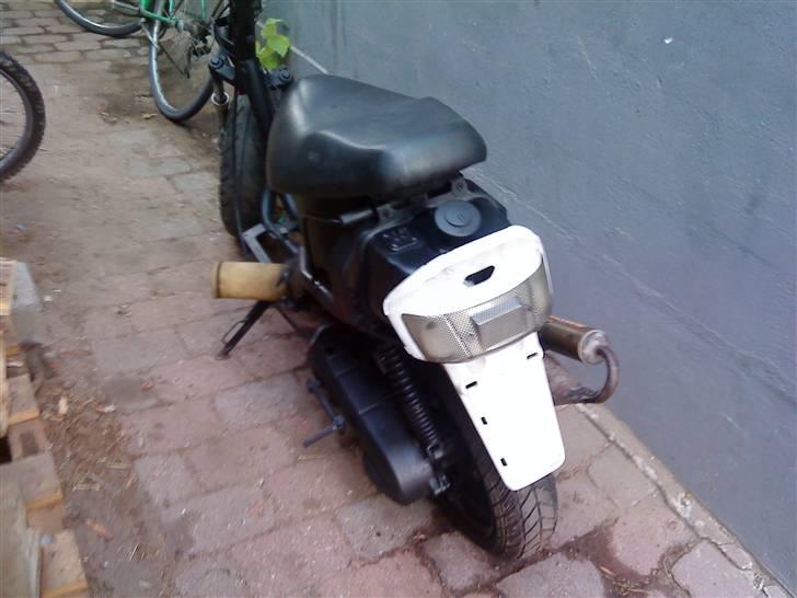 Adly Silverfox splittet!  billede 3