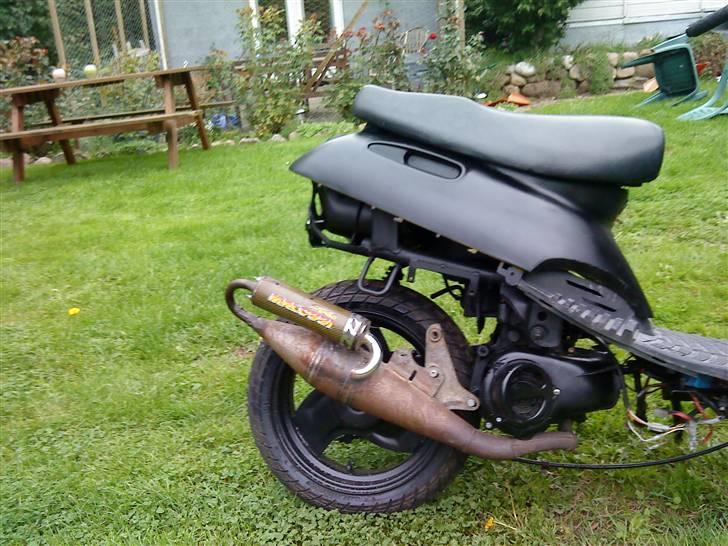 Adly Silverfox splittet!  billede 4