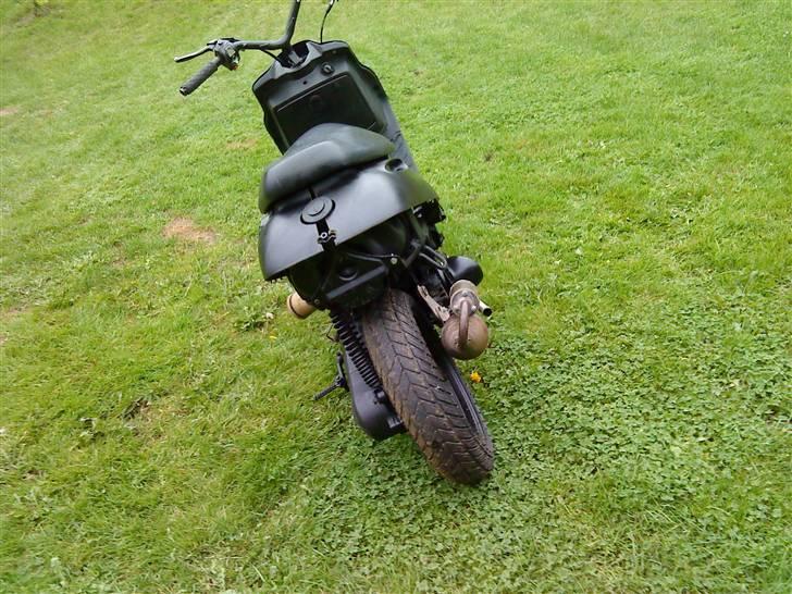 Adly Silverfox splittet!  billede 5