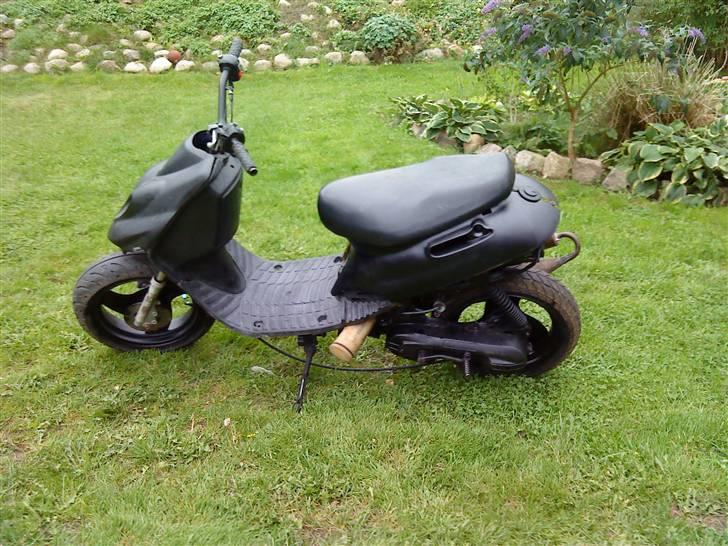 Adly Silverfox splittet!  billede 6