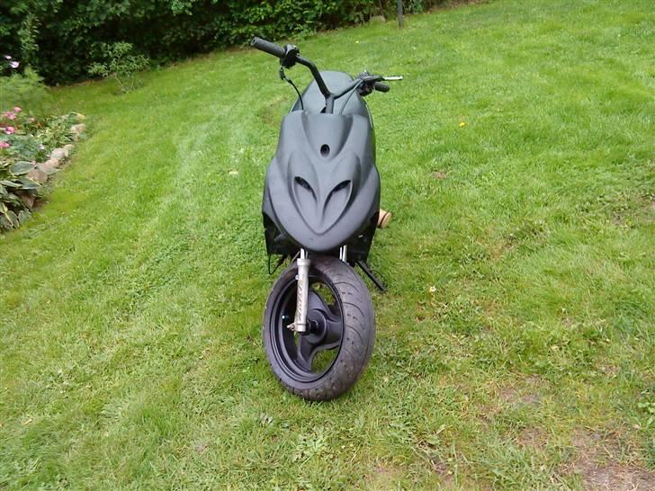 Adly Silverfox splittet!  billede 7