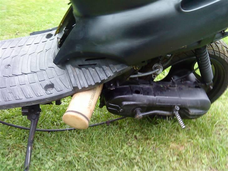 Adly Silverfox splittet!  billede 8