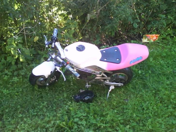 MiniBike pocketbike/motorcykel billede 2